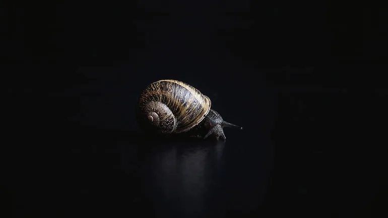 24 - 爱体育